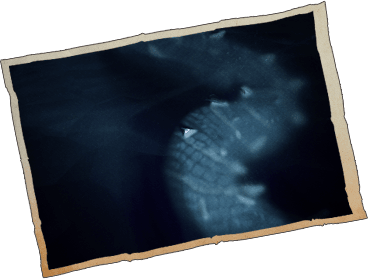field note 04
