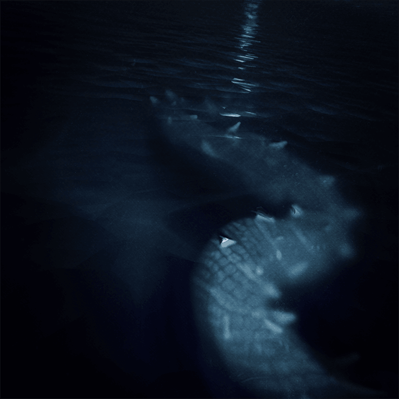 Locator story artwork