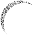 Developer Logo